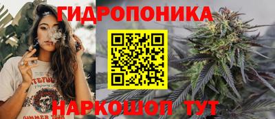 тгк Будённовск