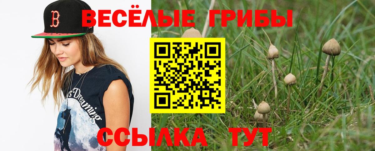 Галлюциногенные грибы прущие грибы  Галлюциногенные грибы GOLDEN TEACHER  Нальчик  Вход с VPN 